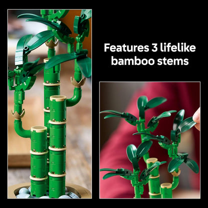 Botanicals Lucky Bamboo Building Set - Artificial Plant for Indoor Home Décor, Adults Ages 18+ - Fake Plant Decoration for Table, Desk, Office - Unique Gift for Her & Him - 10344