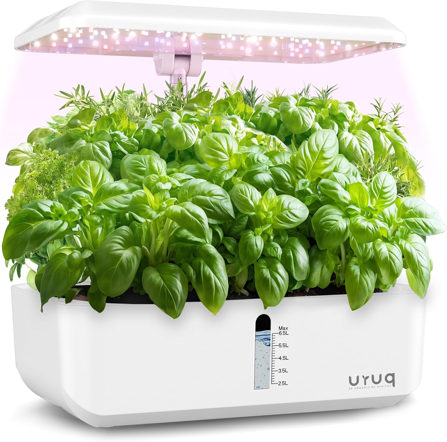 Hydroponics Growing System Indoor Garden:  12 Pods Indoor Gardening System with LED Grow Light Height Adjustable Plants Germination Kit Quiet Smart Pump - Hydroponic Planter Fresh Harvest White