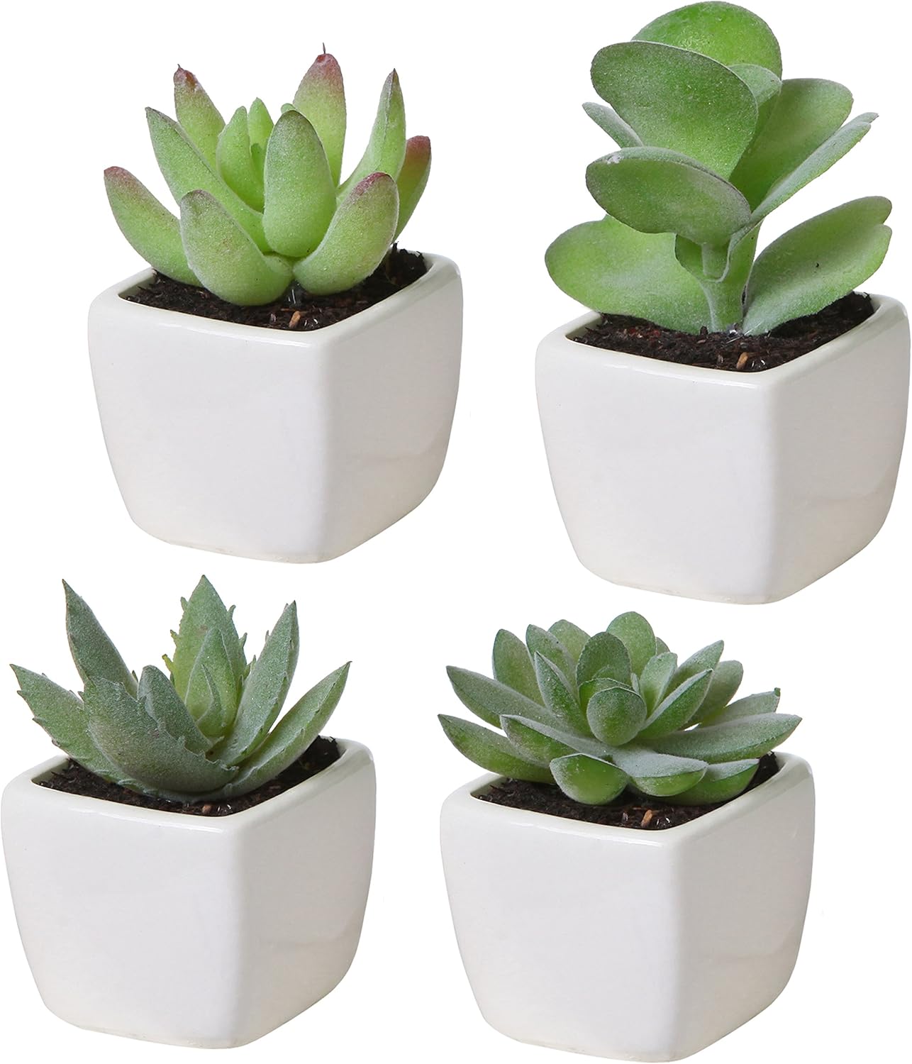 Set of 4 Mini Assorted Green Decorative Artificial Succulent Plants in Square White Glazed Ceramic Planter Pots